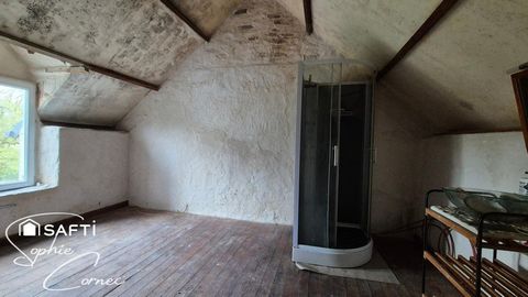 photo no. 2