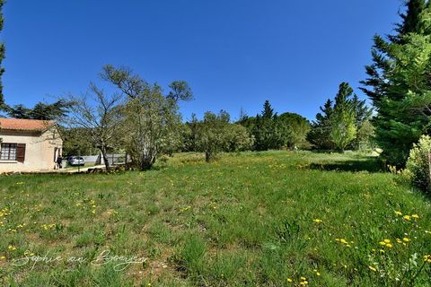 photo no. 2