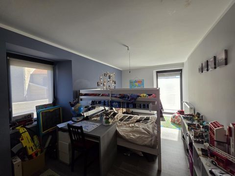 photo no. 8