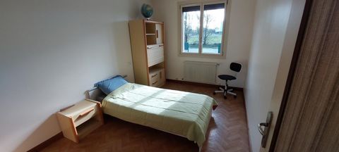 photo no. 12