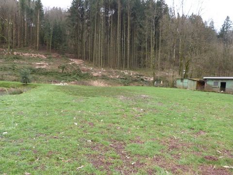 photo no. 2