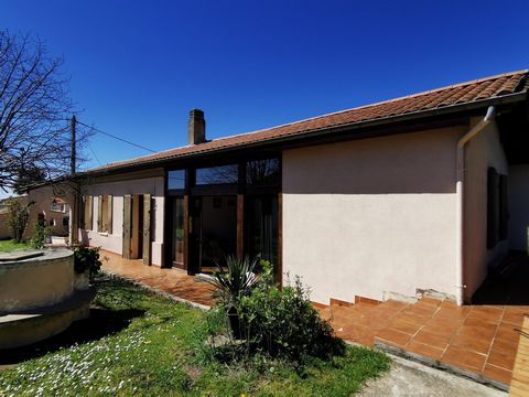 photo no. 2