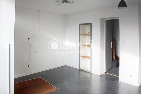 photo no. 2