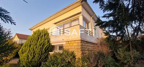 photo no. 17
