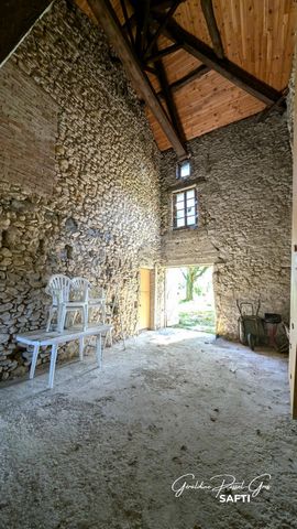 photo no. 12