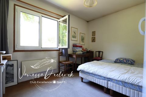 photo no. 8