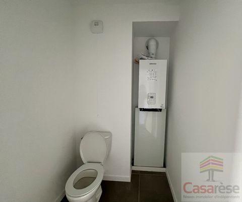 photo no. 6