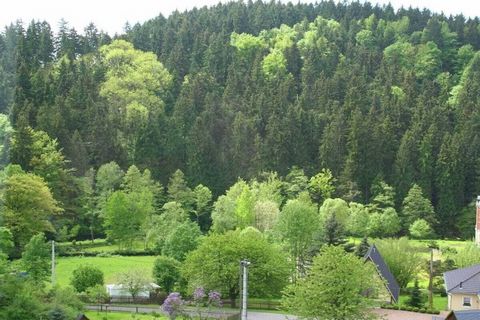 Genießen Sie einen unbeschwerten Aufenthalt in diesem Feriendomizil inmitten der gesunden Natur des Erzgebirges. Die Ferienwohnung im Erdgeschoß einer herrschaftlichen Villa ist komfortabel eingerichtet und bietet das Flair vergangener Zeiten. Bei gu...