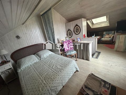 photo no. 11