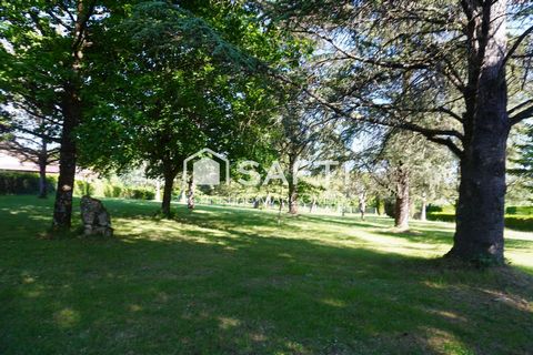 photo no. 18