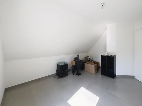 photo no. 15