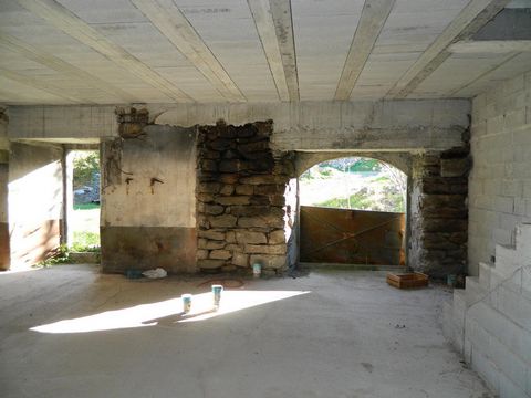 photo no. 5