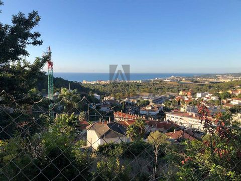 В нескольких минутах от центра Ситжеса, аэропорта и очень хорошо связанного с центром Барселоны, мы находим этот великолепный участок площадью 1 491 м2 в урбанизации Квинтмар, Ситжес. Он расположен в эксклюзивном жилом районе, идеально подходящем для...