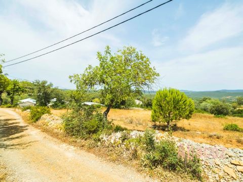 Agricultural land of 4460m2 located only a few minutes from the city of Loulé. The land has several trees like olive, carob and almond trees. There is a borehole, good access and sun exposure which makes it the ideal land to start a project related t...