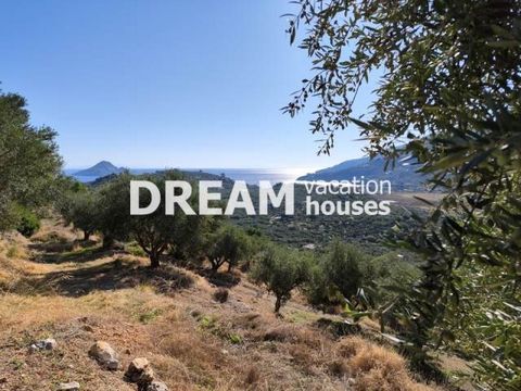 Description Keri, Agricultural Land For Sale, 14.812 sq.m., Features: For development, For Investment, Price: 550.000€. Πασχαλίδης Γιώργος Additional Information Agricultural land with a surface of 14,812.27 sqm in Keri of Zakynthos. It has a buildin...