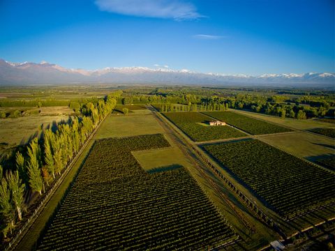Luxury Vineyard & Villa For Sale in Colonia las Rosas Mendoza Argentina Esales Property ID: es5553813 Property Location Epitome Vineyard Tabanera Street Colonia las Rosas Mendoza Argentina Property Details With its glorious natural scenery, excellent...