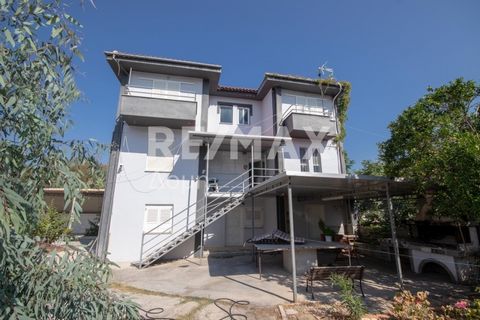 Property Code: 23402-9425 - Building FOR SALE in Aisonia Chrisi Akti Panagias for € 299.000 . This 359 sq. m. furnished Building consists of 2 levels and features 7 Bedrooms, Livingroom, 7 Kitchens, 7 bathrooms . The property also boasts Heating syst...
