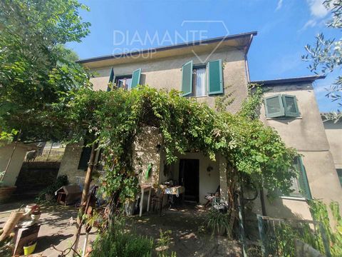 PANICALE (PG): Independent terratetto on two levels of 140 sqm approx. composed as follows: - Ground floor: entrance, living room, dining room with fireplace, kitchenette, bathroom and storeroom. - First floor: large hallway, two double bedrooms, two...