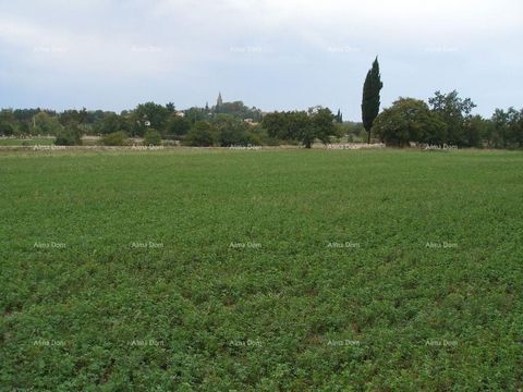 In unmittelbarer Nähe des Zentrums von Žminj steht ein Grundstück von 20.000 m2 zum Verkauf, davon 15.000 m2 im Baugebiet. Infrastruktur zum Feld. Nah an allen Annehmlichkeiten. Die attraktive Lage am Rande des Grüngürtels sorgt für Ruhe und Privatsp...