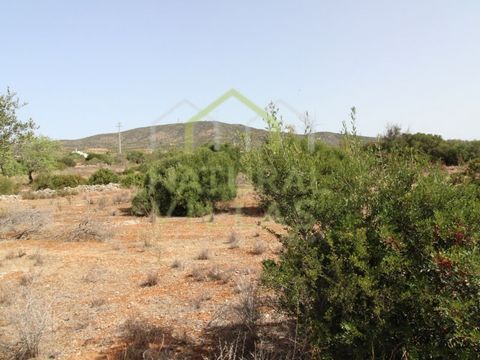 Rustic land in a countryside area of great tranquillity in Quelfes, Olhão in the Algarve. Rustic property with a total land area of 4,480m2 being divided into two (2), enjoying a directed view of the Algarve Mountains and under the surrounding countr...