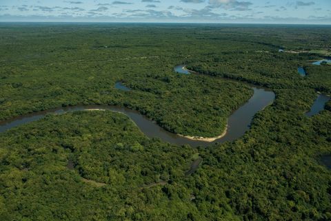 Own a Piece of the Amazon: A Lifetime Investment in Brazil's Rainforest Step into Nature’s Masterpiece: A unique investment opportunity awaits with a staggering 522,400 hectares of untouched Amazon Rainforest. Located in a prime area, this property o...