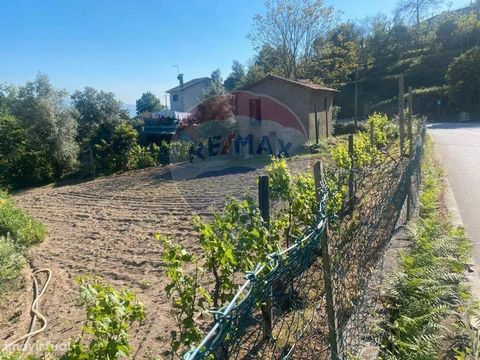 Land for sale at 199 900 €   Land located in the parish of Caires, with an excellent exposure and location. Close to the center of Ferreiros / Amares of all services and trades. Excellent access to delimit with the municipal road, another of the char...