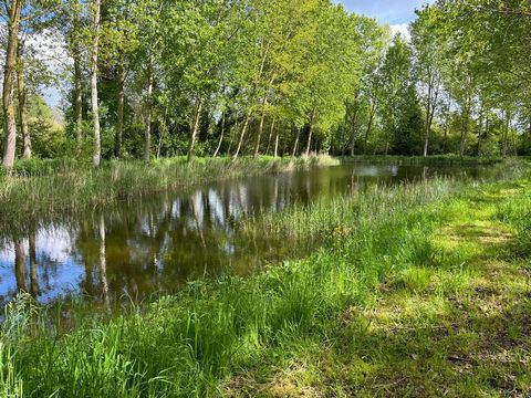 Situado en la ciudad de Breil-Sur-Mérize, a 15 minutos de LE MANS 72, una gran oportunidad con este campo de ocio de buen tamaño. Tendrá un área de 5300m2 de terreno con un lago de aproximadamente 1500m2 para hacer realidad su sueño NATURALEZA & Tran...