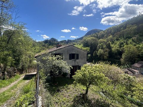 The location of this property offers an idyllic exposure whether due to its south-facing orientation or its view overlooking the mountain village of Niort de Sault. This house is composed as follows: - Ground floor: a kitchen, a pantry, a living room...