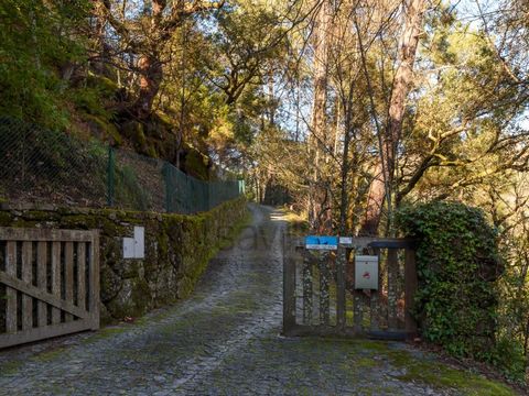 Localizada na freguesia de Parada do Bouro, na margem esquerda do rio Cávado, esta charmosa propriedade rural é acedida através duma belíssima estrada em calçada de pedra, ladeada de árvores e zonas verdes, sempre com o rio como pano de fundo. A prop...