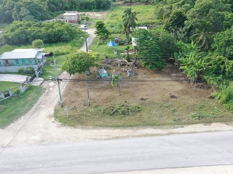 Boasting 90 feet of road frontage on the Philip Goldson Highway (formerly Northern Highway) in Ranchito Village is this beautiful commercial lot.  Located less than 3 minutes from Corozal Town and the Caribbean Sea, this would be a great investment f...