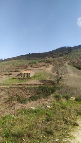 Terrain de 18 hectares situé « au milieu de nulle part » avec une grande ruine de près de 300m2 (il a 148m2 au rez-de-chaussée et 2 étages dans presque sa totalité). La propriété est située dans un endroit très isolé près de la Serra da Estrela et vo...
