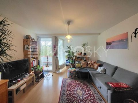 For sale is this very bright and well-kept condominium in Wiesbaden, which has a living area of 53 m² and 2 rooms. Upon entering the apartment, you enter the entrance area, which provides enough space for your wardrobe. The bathroom has a toilet and ...