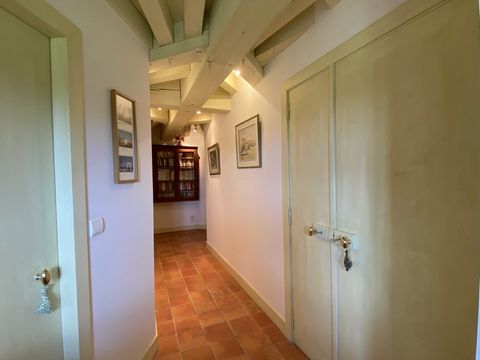 photo no. 13