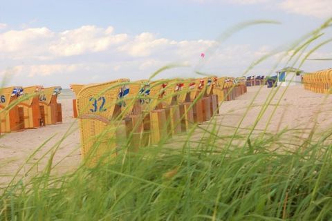 De prachtige oude boerderij is gelegen in het kleine dorpje Gressow in de buurt van Wismar-buurt van het meer van Tress.Het enorme huis met de prachtige oude tuin biedt gasten veel bewegingsvrijheid en veel gezellige hoekjes om te ontspannen. Bovendi...