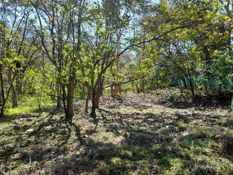 Lote Leo, 1300 m2, est un grand terrain plat entouré de jungle sur deux côtés et un terrain parfait pour construire la maison de vos rêves ou un projet immobilier à usage mixte au Costa Rica, situé à seulement 5 minutes du centre-ville de Samara et d...