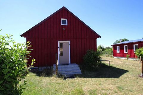 Deze nieuwe vakantieboerderij met in totaal vijf vakantieappartementen en zes vakantiehuizen in de wijk Mirow in Diemitz biedt rust en ontspanning aan de Vilzsee. Voor rustzoekers zijn de kleine maar fijne accommodaties precies de juiste plek om te o...