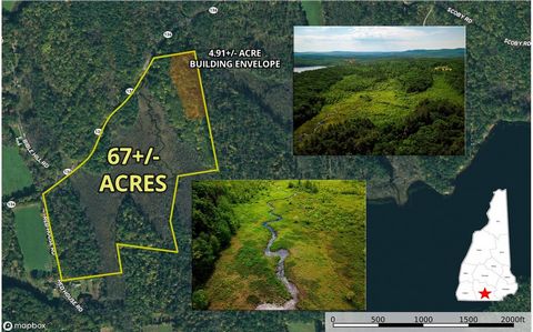 This 67+/- acre property offers an excellent opportunity to build your dream home in the peaceful countryside of Francestown, NH near the New Boston town line. A charming 4.91+/- building envelope featuring maturing woods & a level topography sits el...