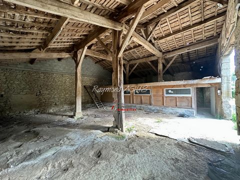 photo no. 13
