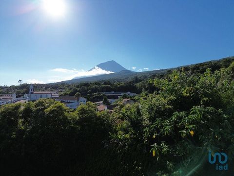 Terreno com Ruína em Silveira, Lajes do Pico - Vista Mar e Montanha Apresentamos uma oportunidade imperdível para quem procura um pedaço de paraíso na deslumbrante Ilha do Pico, Açores. Este terreno em Silveira, Lajes do Pico, com 2482 metros quadrad...