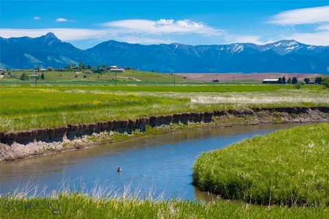 DE L’EAU VIVE, PAS DE ZONAGE, PAS DE CONVENTIONS !! Cette propriété de 59 acres sur Dry Creek à Belgrade, dans le Montana, présente un cadre idyllique avec des jeux d’eau qui se faufilent à travers son étendue, offrant un mélange parfait de beauté na...