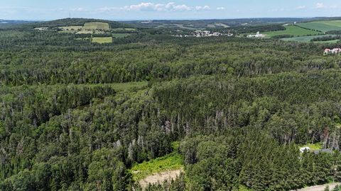 Terrain boisé sur le chemin du Grand Macpès à Ste-Blandine de Rimouski. D'une superficie de 86768,9 pieds carrés, parfait pour projet résidentiel. Profitez d'un cadre naturel exceptionnel pour construire votre future maison dans un environnement pais...