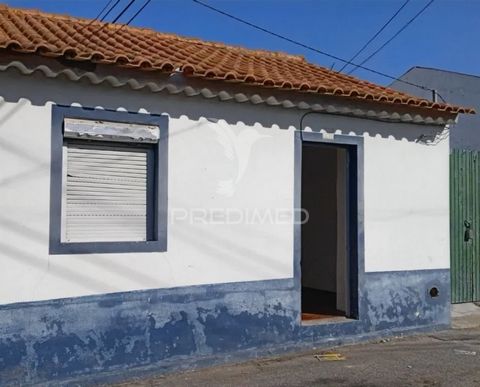 Moradia Térrea T3 para Remodelação Total em Alpiarça Descubra esta incrível oportunidade de investimento em Alpiarça, uma charmosa vila do Ribatejo, no distrito de Santarém. Esta moradia térrea T3, com 4 assoalhadas, está situada numa zona tranquila,...