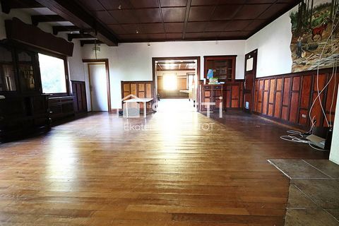 photo no. 2