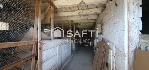 photo no. 9