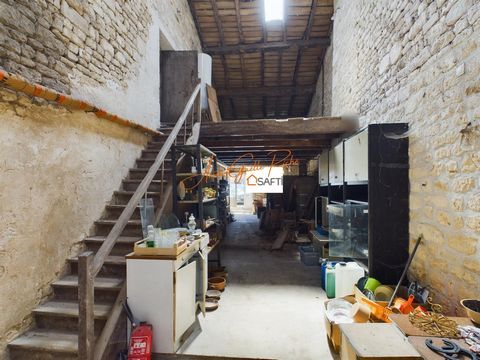 photo no. 9