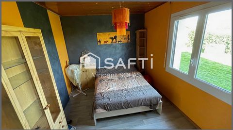 photo no. 11