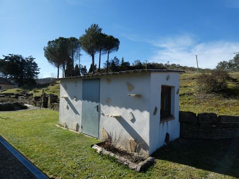 photo no. 10