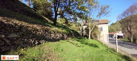 photo no. 11