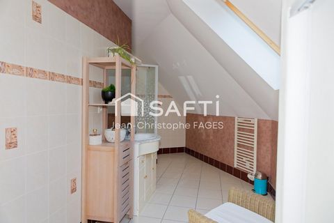 photo no. 11