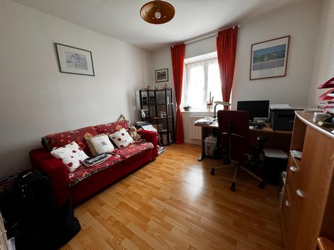 photo no. 8